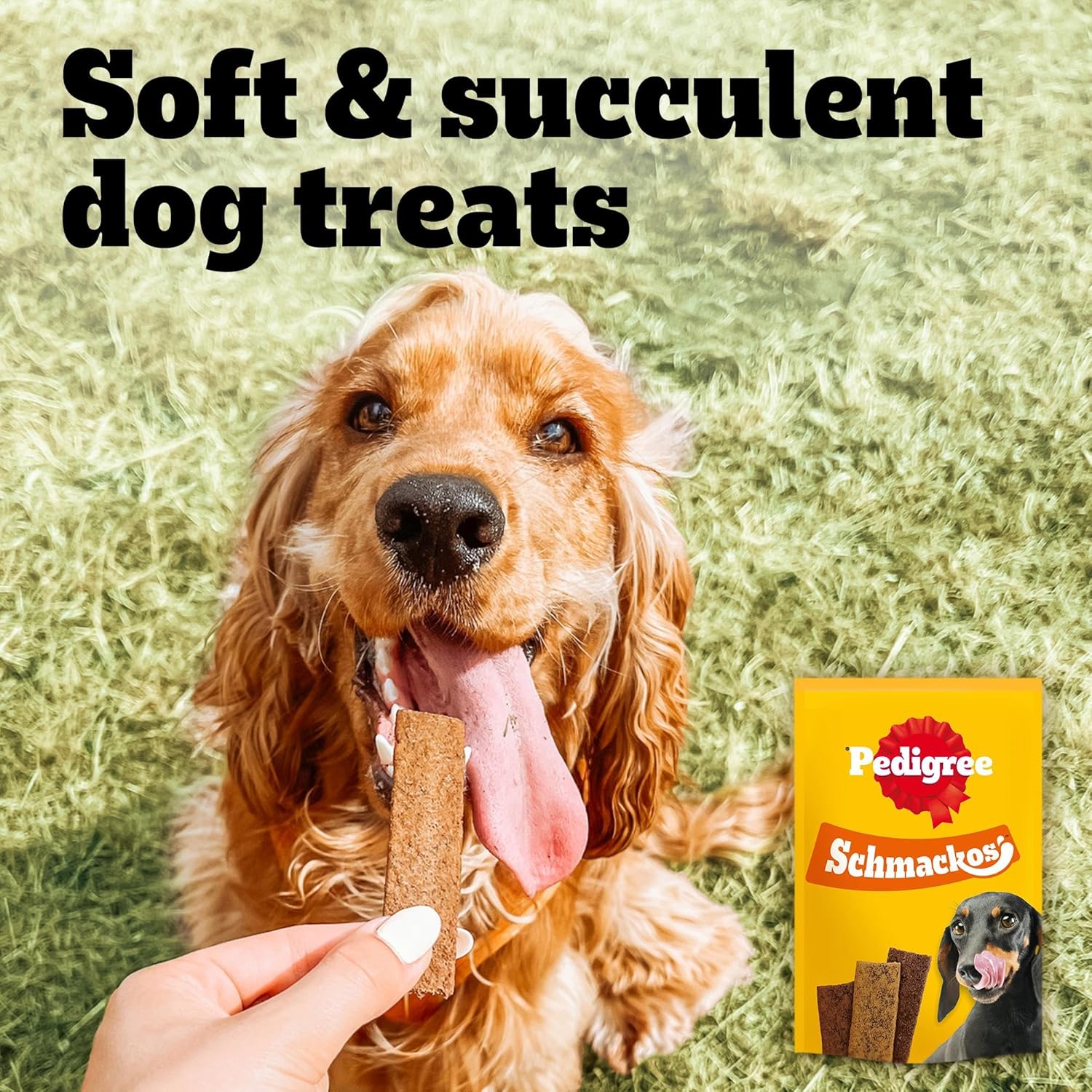 Pedigree Schmackos Mega Pack 110/112 Strips Snacks, Dog Treat Multipack with Beef, Lamb and Poultry Flavours